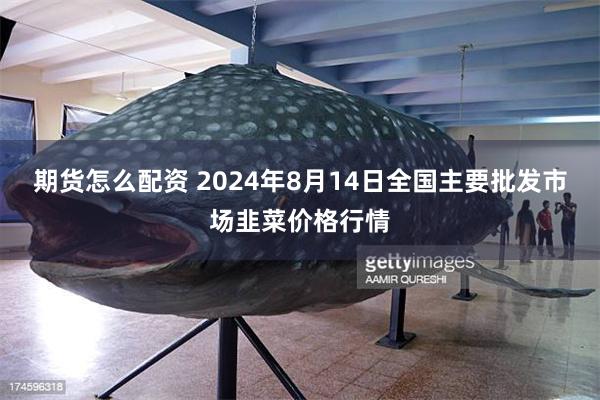 期货怎么配资 2024年8月14日全国主要批发市场韭菜价格行情