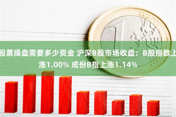 股票操盘需要多少资金 沪深B股市场收盘：B股指数上涨1.00% 成份B指上涨1.14%