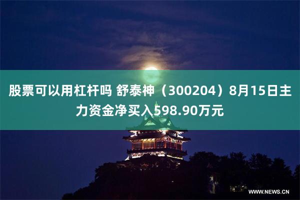 股票可以用杠杆吗 舒泰神（300204）8月15日主力资金净买入598.90万元