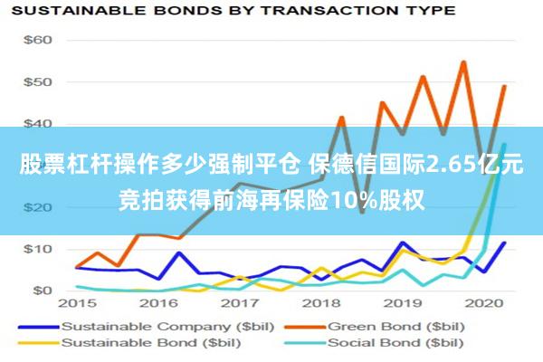 股票杠杆操作多少强制平仓 保德信国际2.65亿元竞拍获得前海再保险10%股权