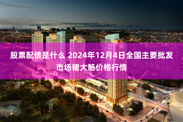 股票配债是什么 2024年12月4日全国主要批发市场猪大肠价格行情