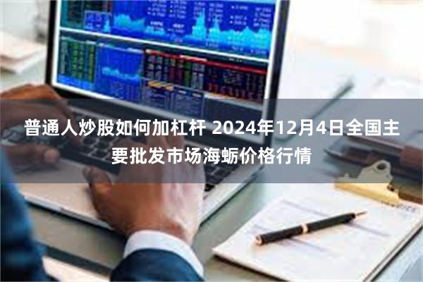 普通人炒股如何加杠杆 2024年12月4日全国主要批发市场海蛎价格行情