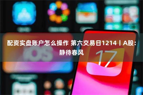 配资实盘账户怎么操作 第六交易日1214丨A股：静待春风