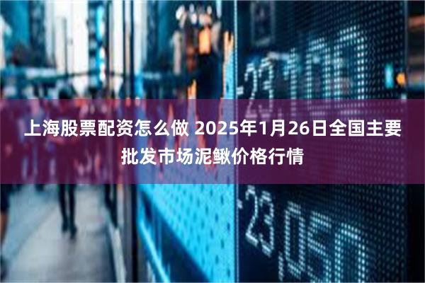 上海股票配资怎么做 2025年1月26日全国主要批发市场泥鳅价格行情