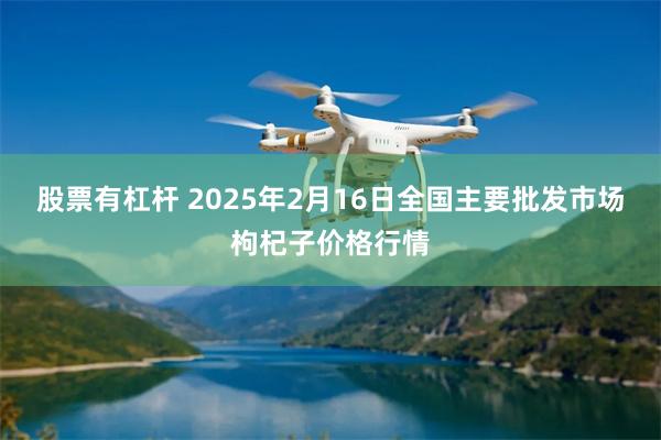 股票有杠杆 2025年2月16日全国主要批发市场枸杞子价格行情